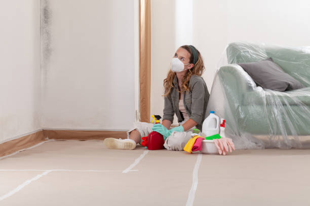Reliable Black Mold Remediation contractor in Andover, MN by Car Mold Remediation